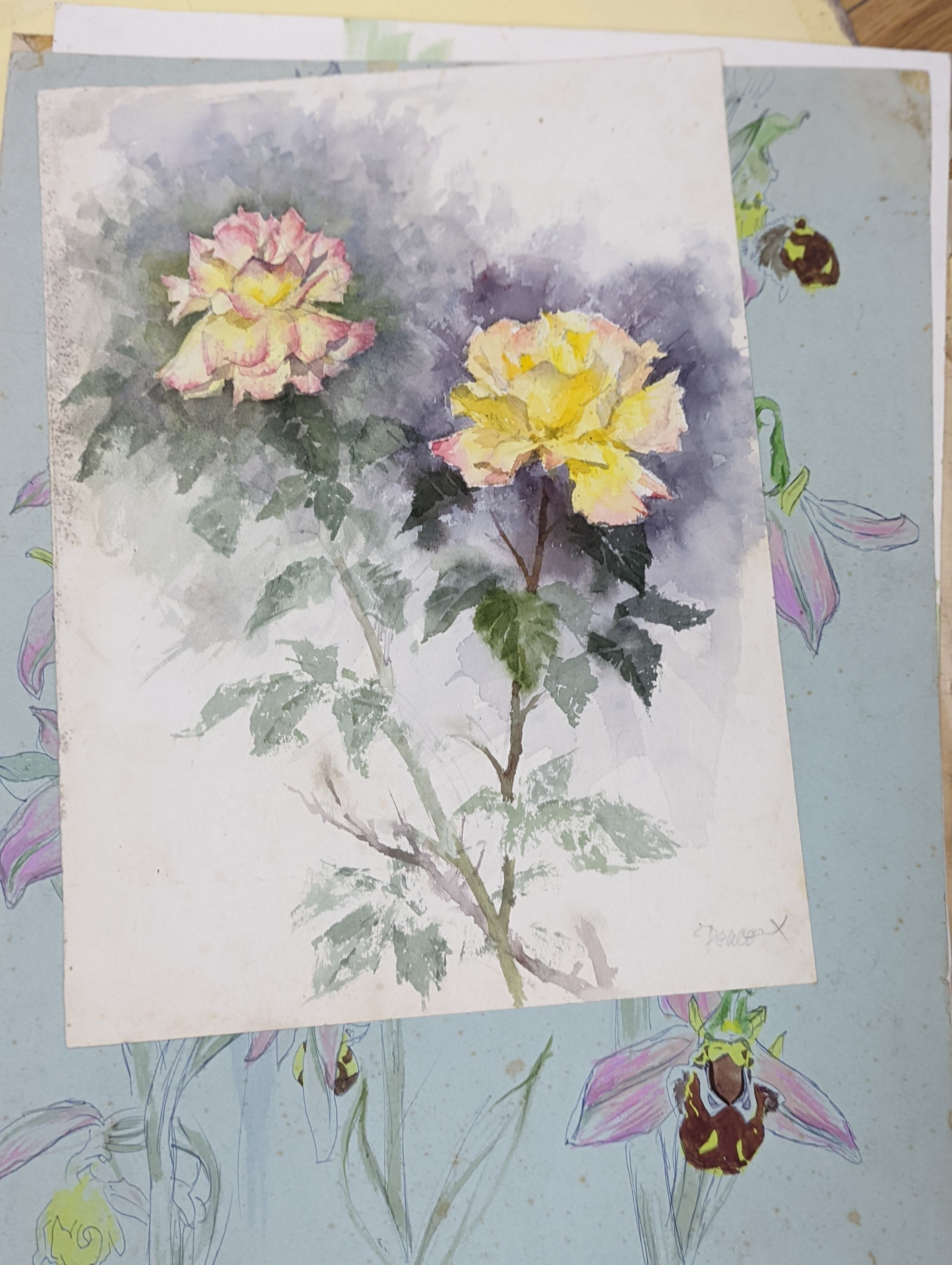 Michael Cadman (1920-2012), folio of assorted watercolours, Nature and botanical studies, largest 54 x 39cm